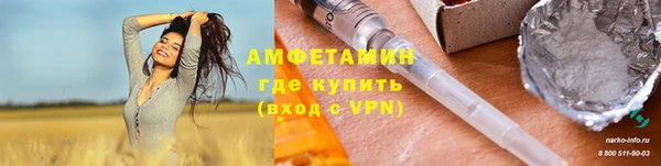 метадон Алексин