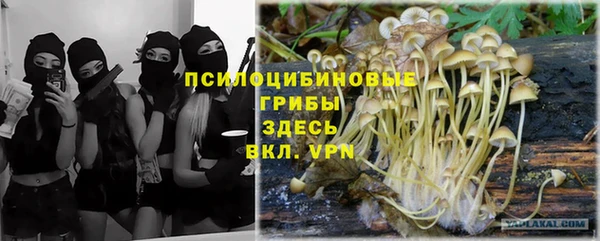 тгк Абдулино